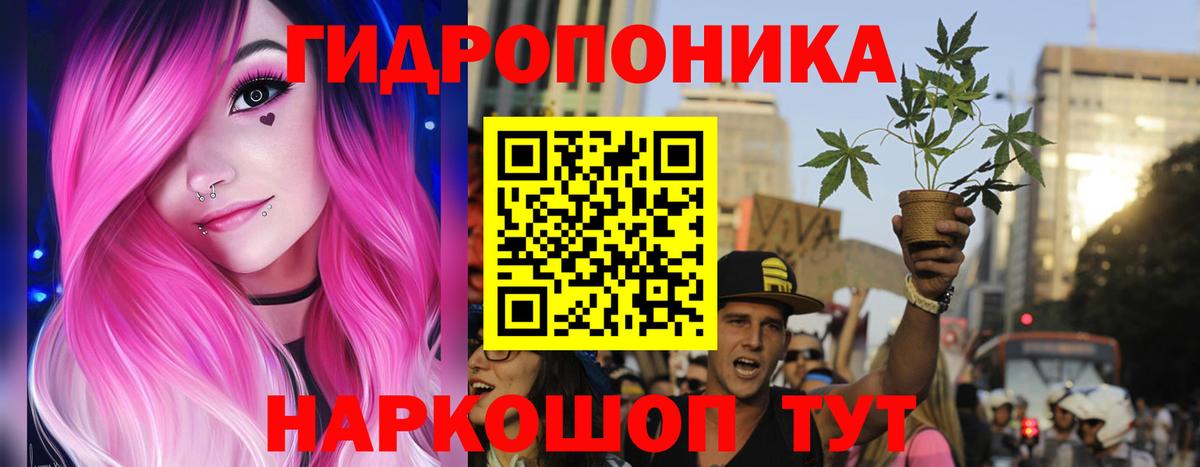 Марихуана OG Kush  Марихуана Amnesia  Вход с VPN  Радужный  Шишки марихуана Bruce Banner 